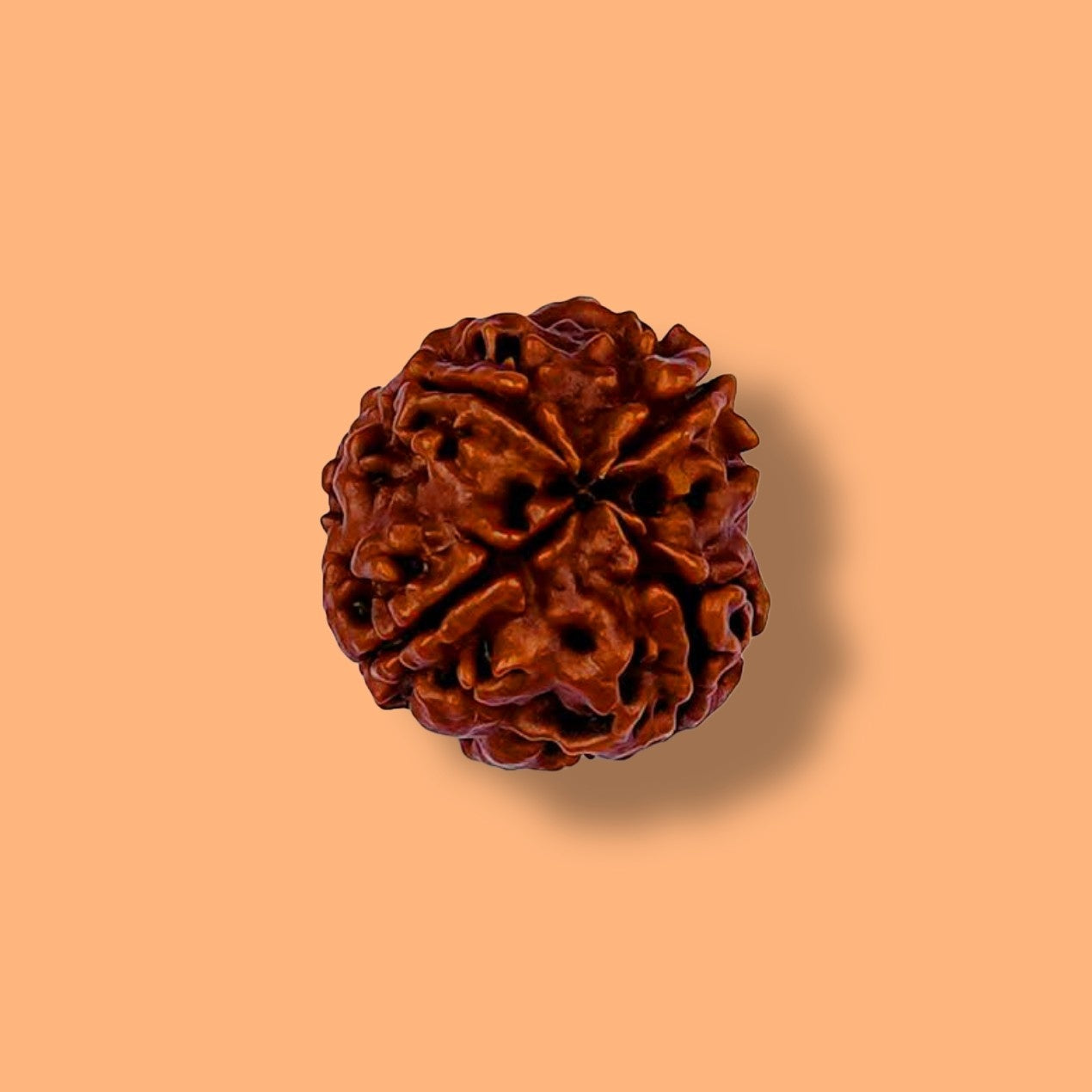4 Mukhi Rudraksha: Awaken Your Inner Wisdom and Creativity