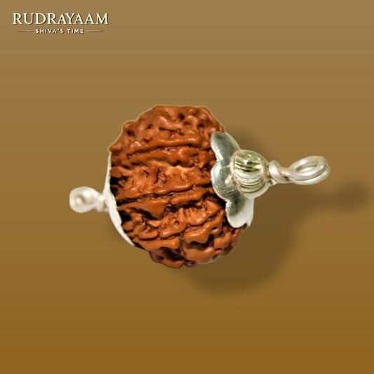 Abhimantrit 7 Mukhi Rudraksha